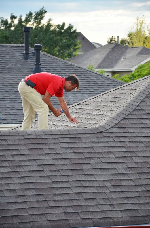 Expert Roofing Technician
